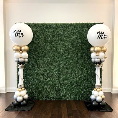 Greenery wall rental boxwood