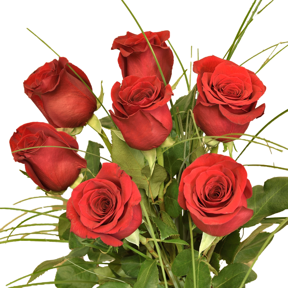 Valentínske ruže z lásky