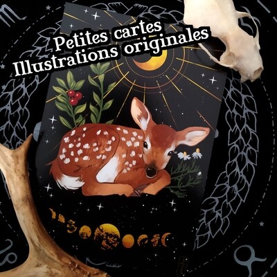 Petites cartes (A6) - Illustrations originales