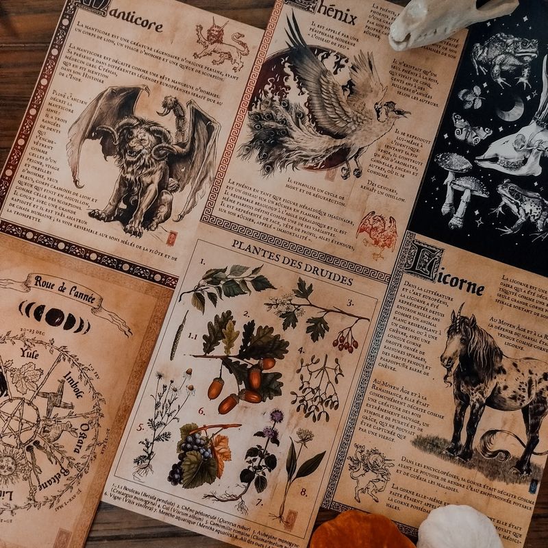 Nouvelles grandes cartes (A5)