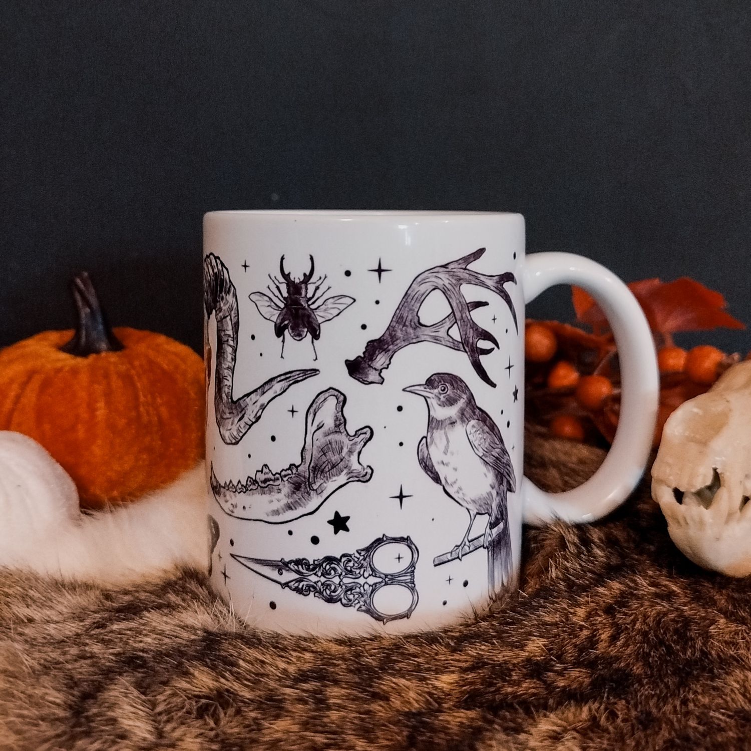 Mug Cabinet de curiosité