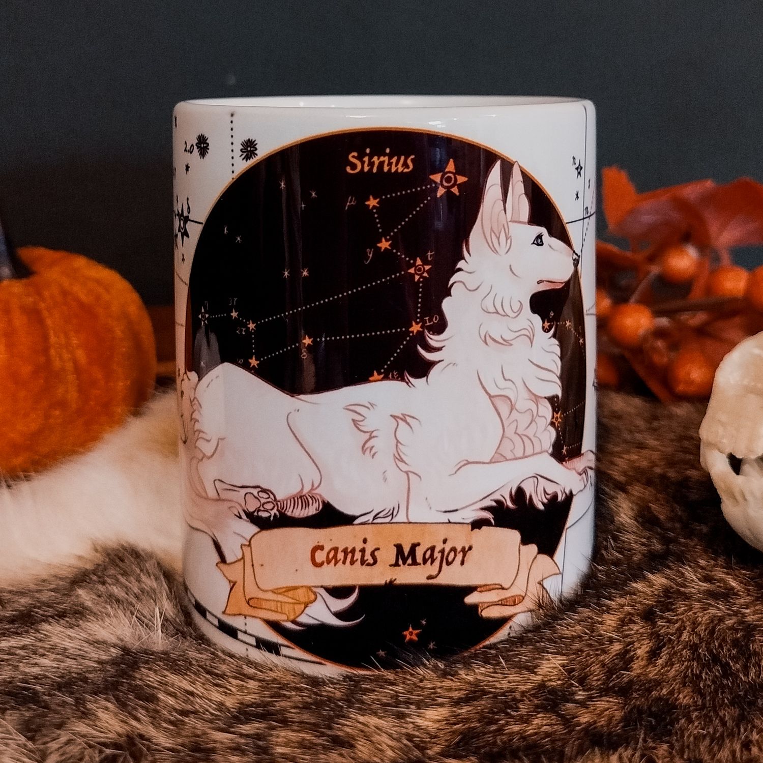 Mug Canis Major