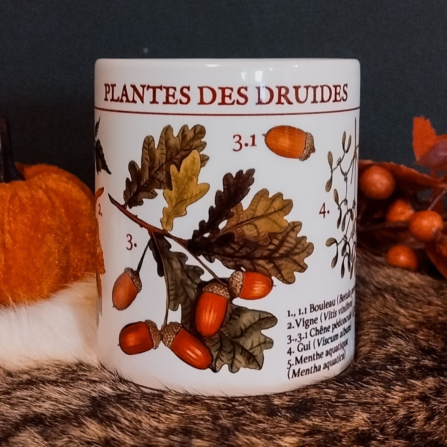 Mug Plantes des druides