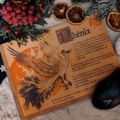 Tapis de souris en tissus - Phénix