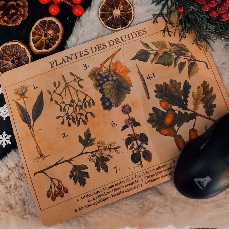 Tapis de souris en tissus - Plantes des druides