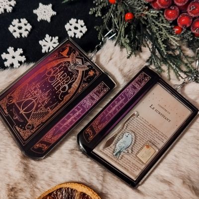 Livre à secouer - Harry Potter