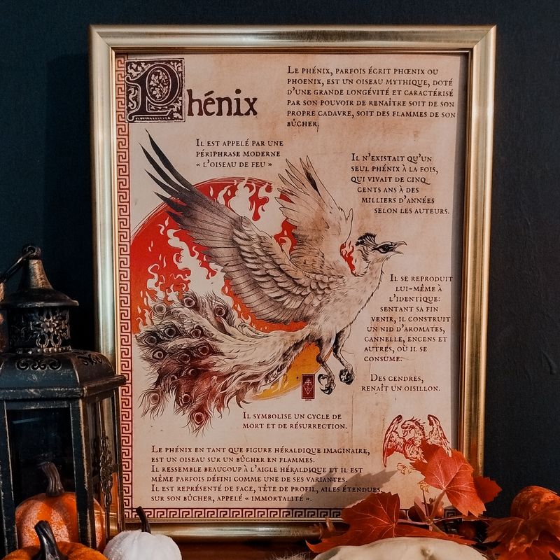Poster - Phénix