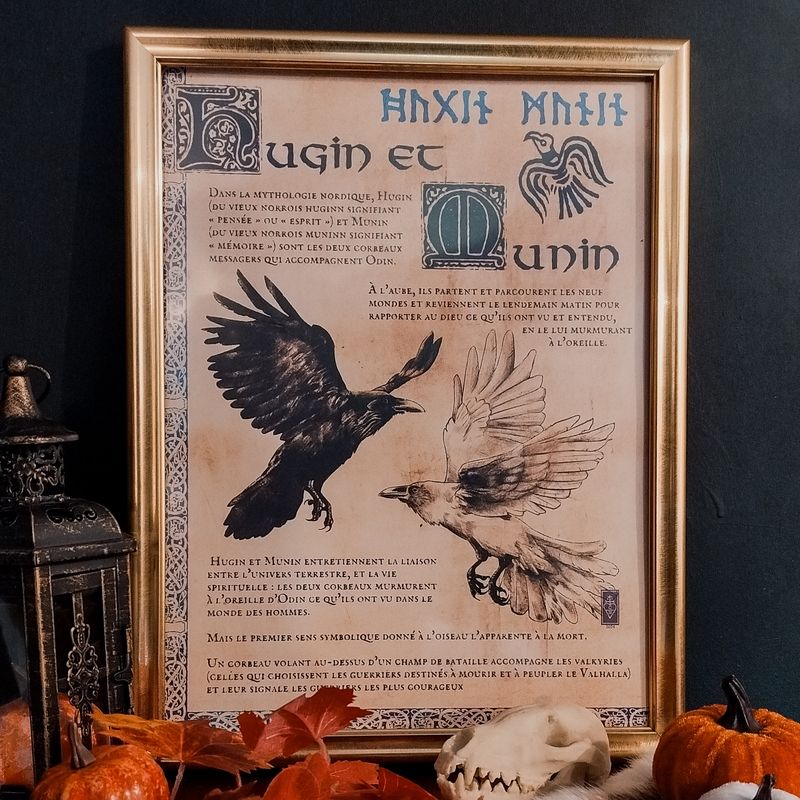 Poster - Hugin et Munin
