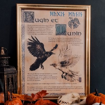 Poster - Hugin et Munin