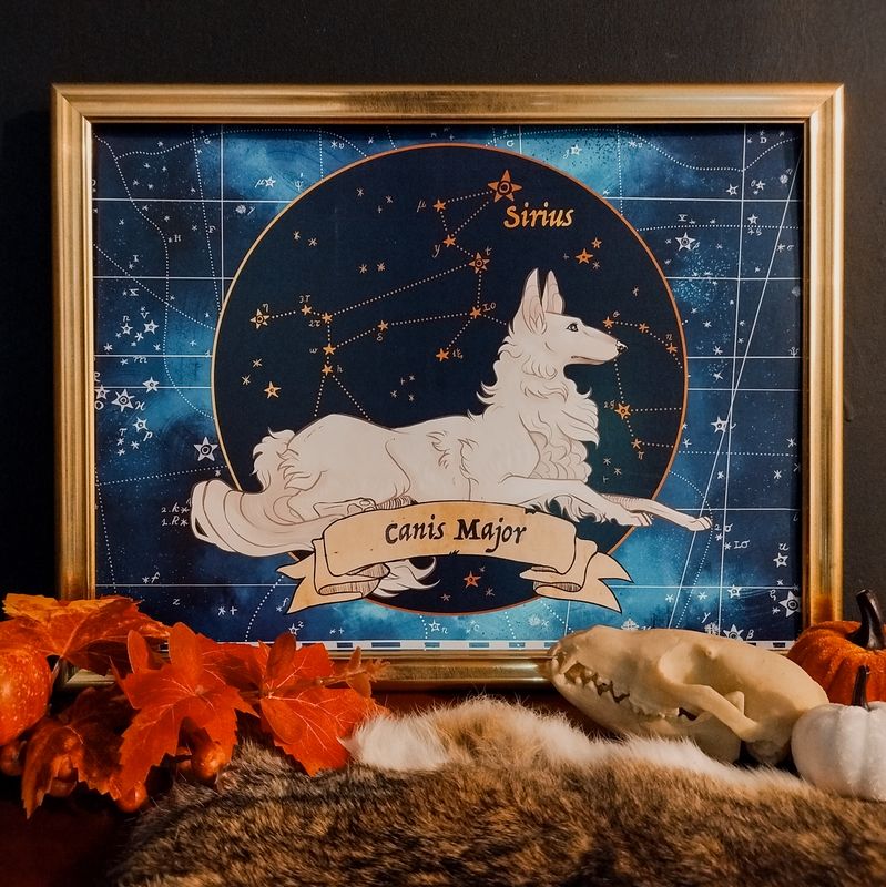 Poster - Canis Major