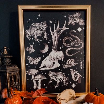 Poster - Forest Witch