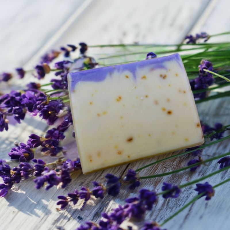 Bio Stutenmilch Seife Bio Stutenmilch Seife "Provence"