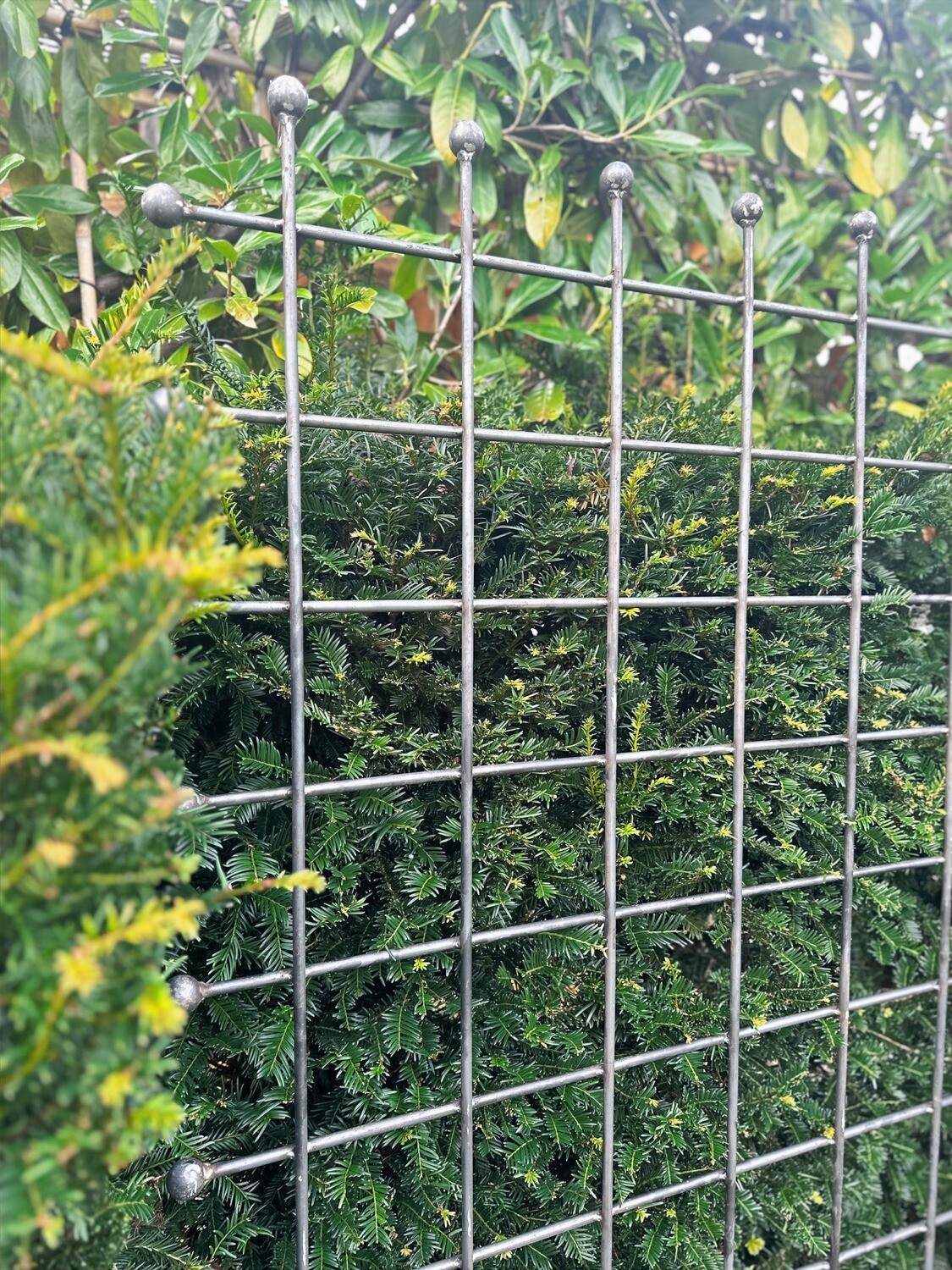 Bespoke Trellis Panel