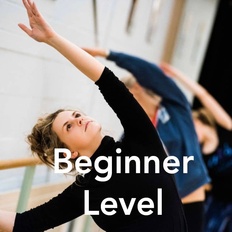 Book BEGINNER LEVEL (Tuesdays 16.00 - 17.00)