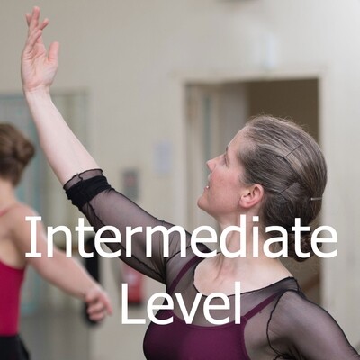 Book INTERMEDIATE LEVEL (Thursdays 19.00 - 20.15)