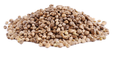 Hemp Seeds Conventional
