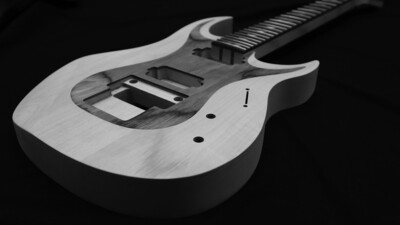 R-Go Custom Guitar