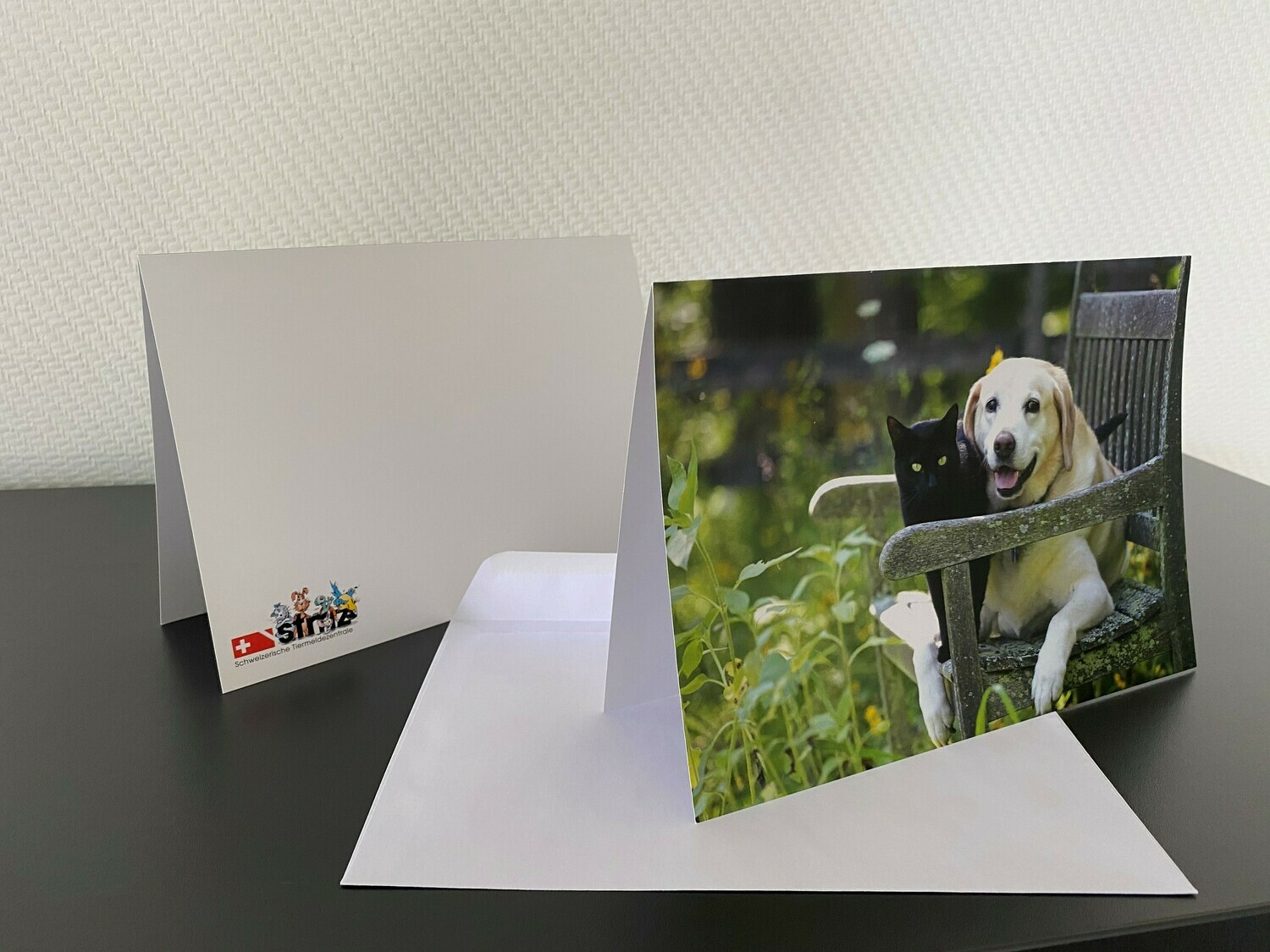 10 Karten mit Hund und Katze-Motiv inkl. Couvert