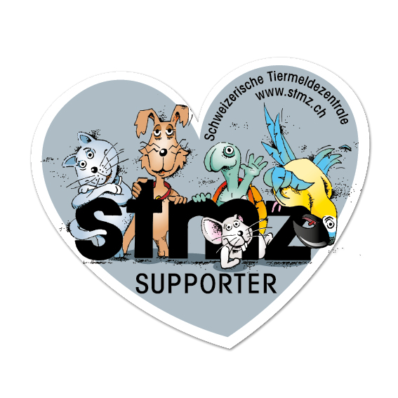 Herz-Kleber "Silber"