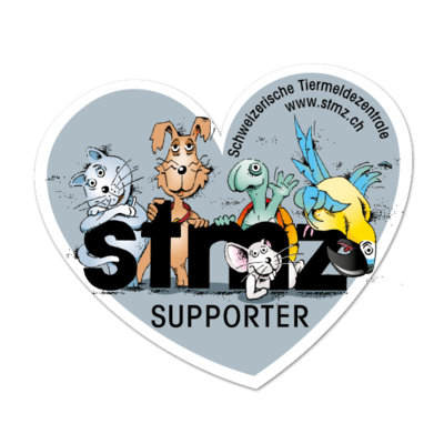 Herz-Kleber "Silber"