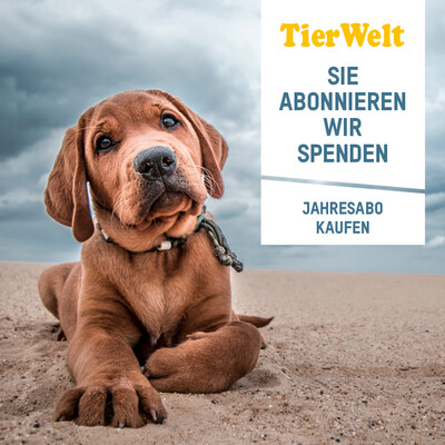 Abonnieren Sie jetzt die TierWelt