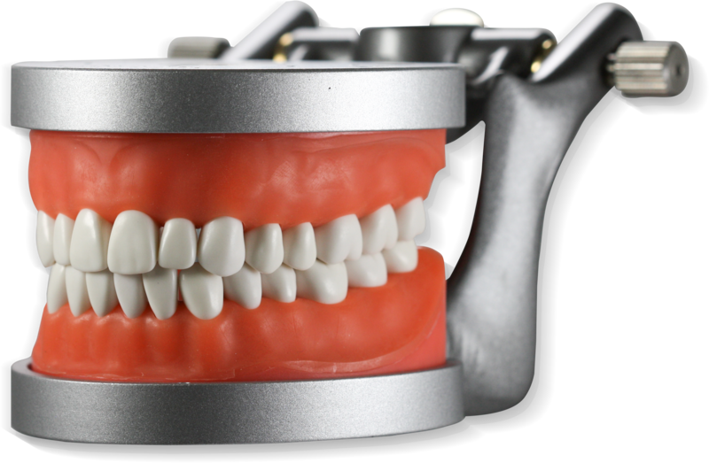 ModuPRO One w/articulator