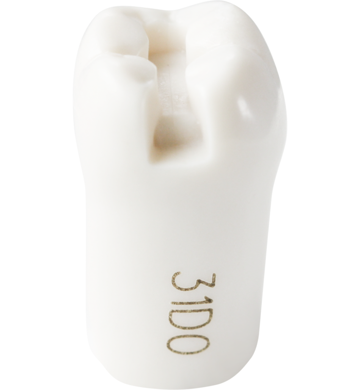M300 #31 DO Prep