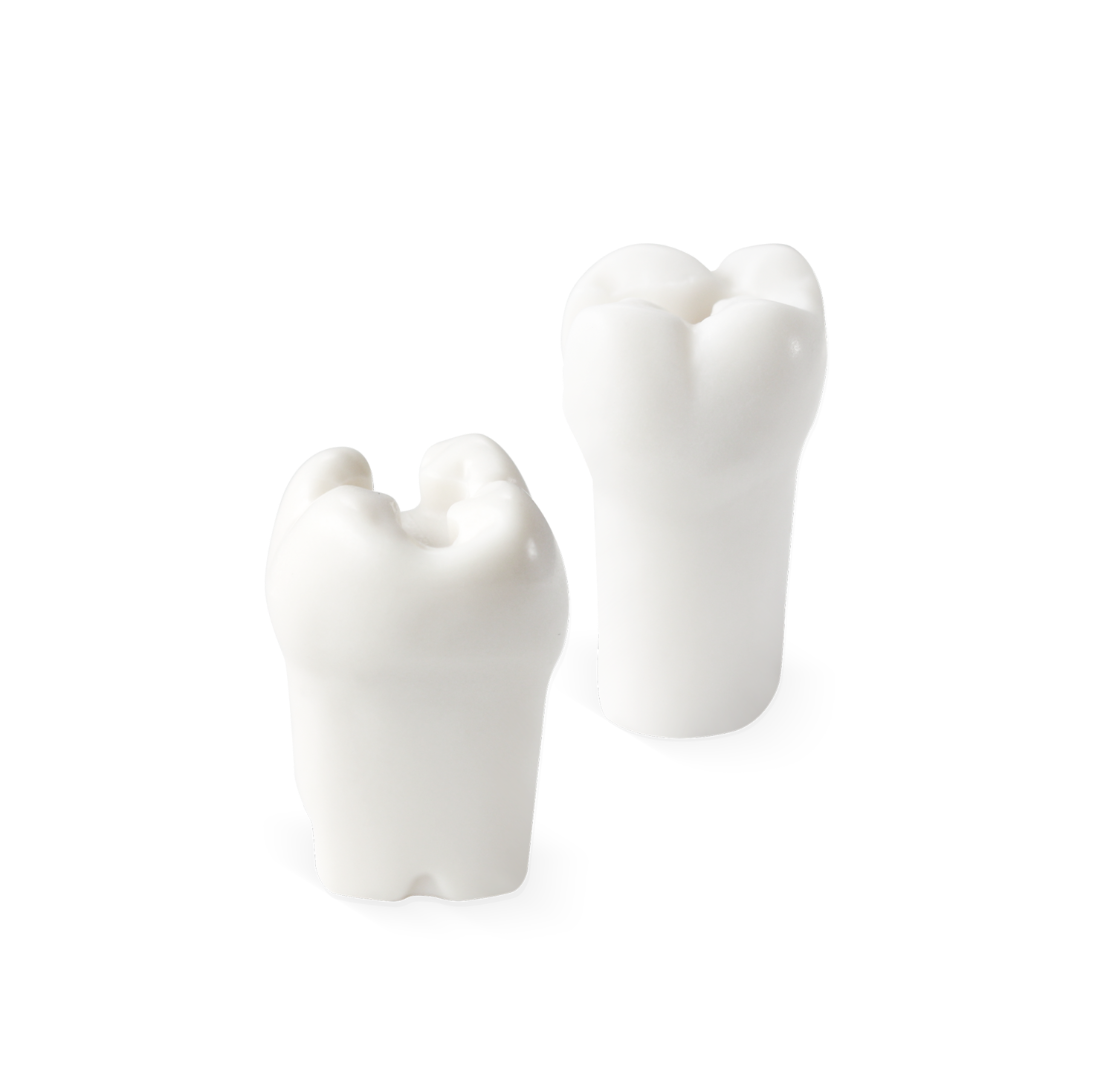 Acadental Dental Hygiene Restorative Pre Prepared Teeth