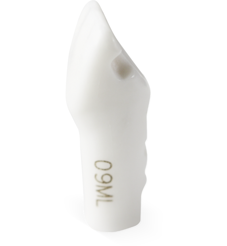 M300 ML #09 Class III Prep