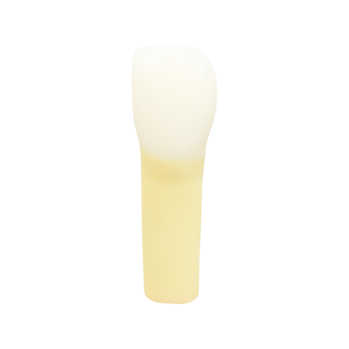 PLT, Prime Two Layered Tooth #07