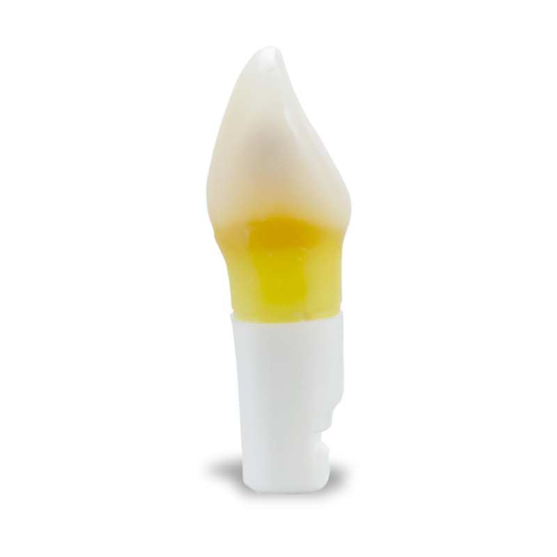 DTX Carious Tooth #07