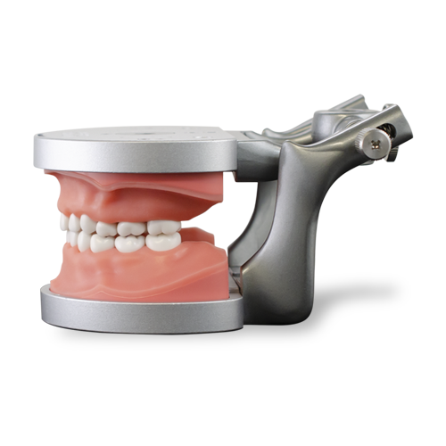 ModuPRO Pedo w/ articulator