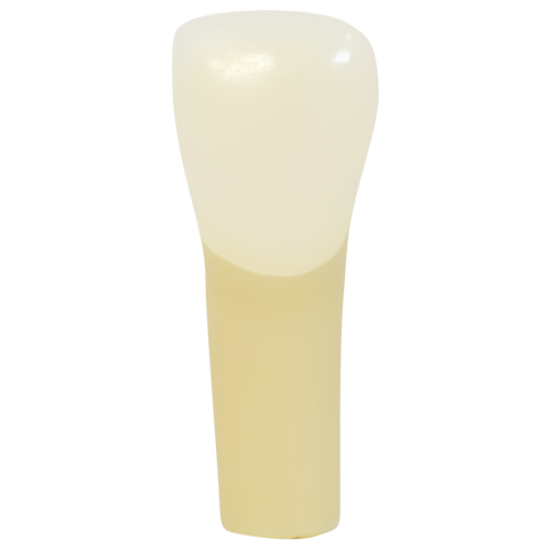 PLT, Prime Two Layered Tooth #08
