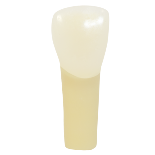 PLT, Prime Two Layered Tooth #09