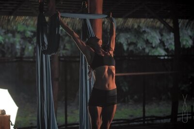 VAYU Aerial Yoga Workshop On Zoom
October 14th and 21st
November 11th and 18th