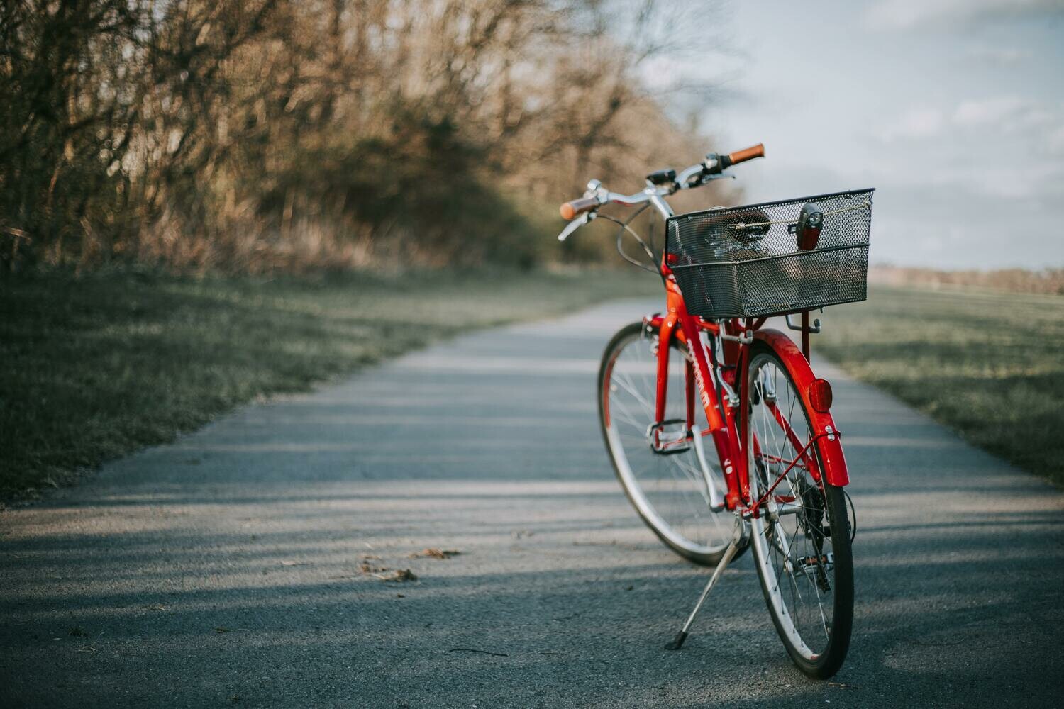 Bike rent - 2 days