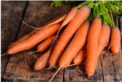 How to plant and  grow carrots?