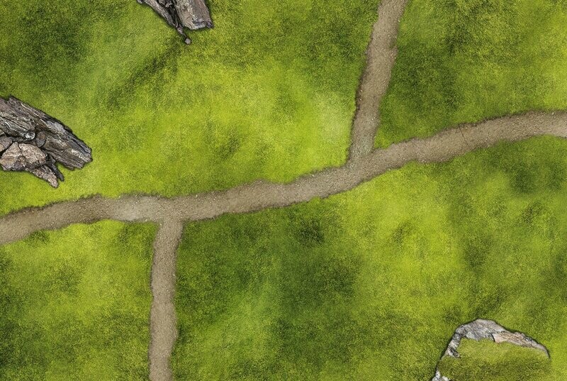 Battlemat Plaine Herbe Pierres et chemin Battlemat Plaine Herbe Pierres et chemin