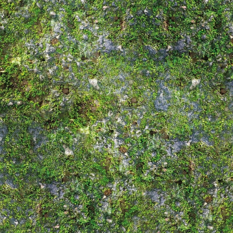 Battlemat Marais 2 Battlemat Marais 2