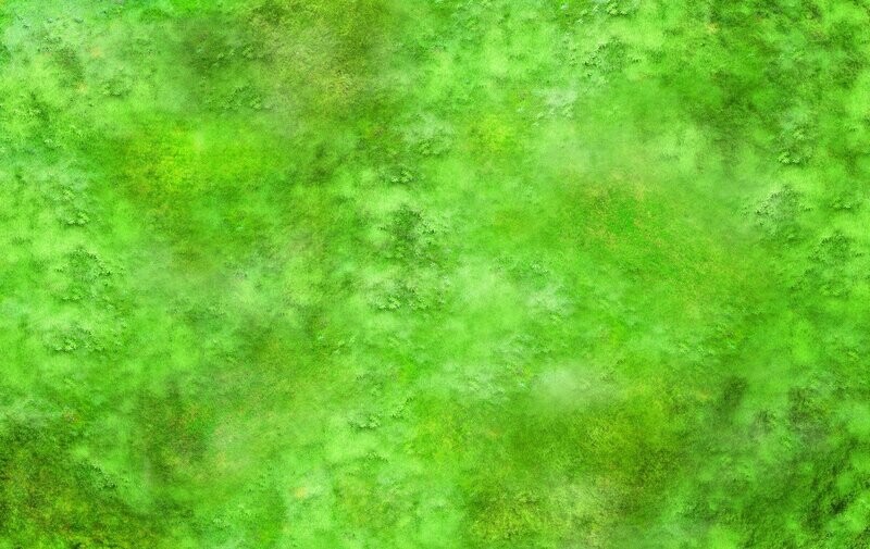 Battlemat Plaine 2 Battlemat Plaine 2