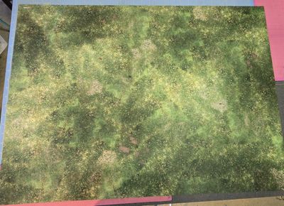 Battlemat Plaine Herbe - Fields 60"/44" avec défaut