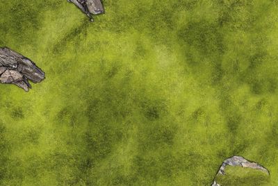 Battlemat Plaine Herbe Pierre