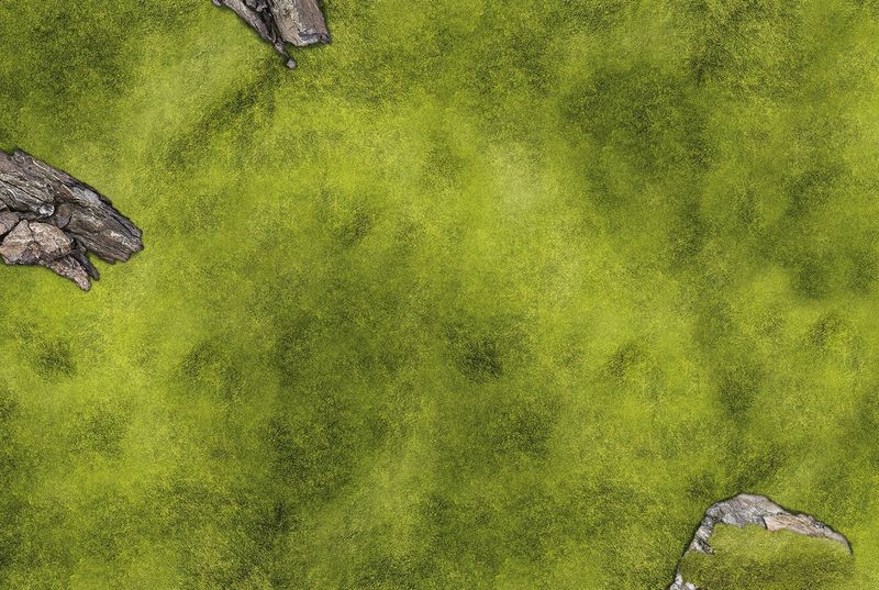 Battlemat Plaine Herbe Pierre