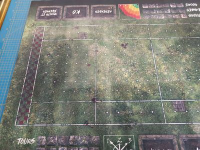 Terrain pour Blood Bowl ® compatible Field Défaut 09-07