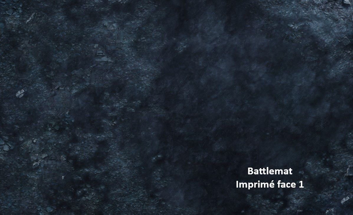 Battlemat 2 SIDES / Double-Sided Custom