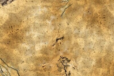 Battlemat Desert