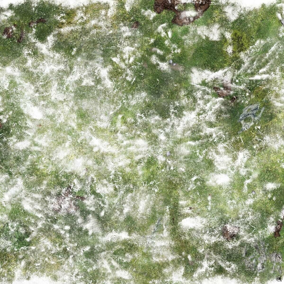 Battlemat Plaine enneigée