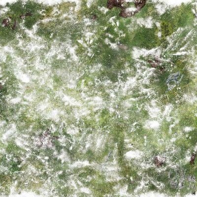 Battlemat Plaine enneigée