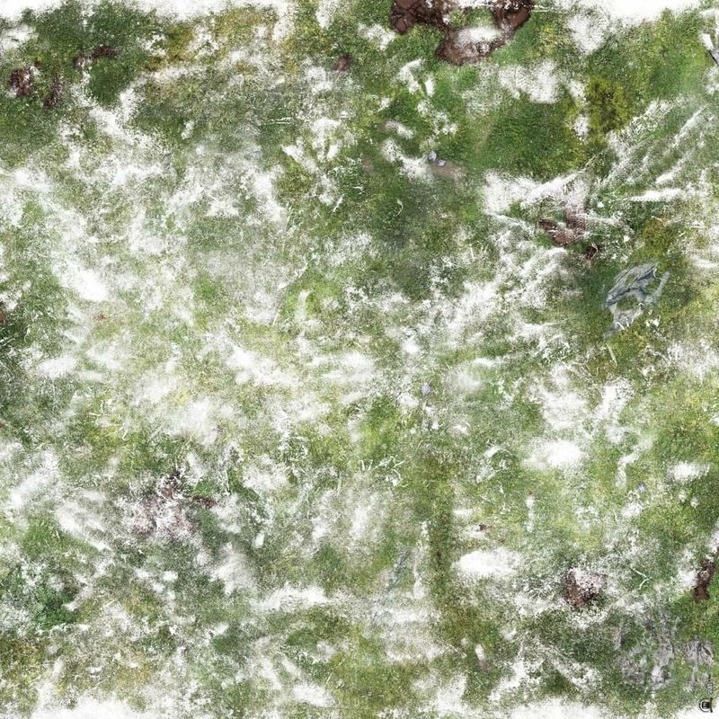 Battlemat Plaine enneigée