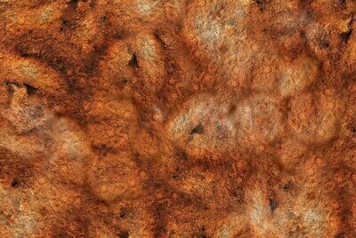 Battlemat Wasteland 1